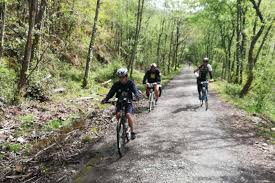 Tour en bicicleta por el Vasco-Navarro