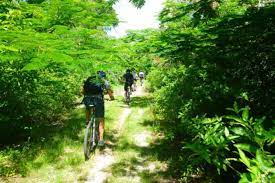 Tour en bicicleta por el Parque Natural Bras d'Eau