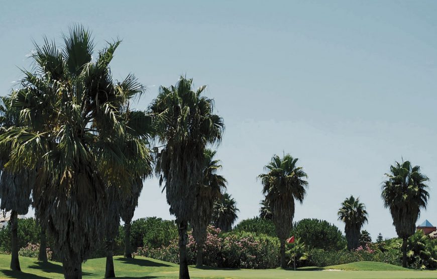 Hipotels Andalucia 4 ****   Barrosa Park/ Playa La Barrosa (Solo adultos) / Gran Conil &Spa +5 GF La Estancia-Sancti Petri Hills-Costa Ballena- Montenmedio-Sherry Golf+Visita Guiada Cádiz