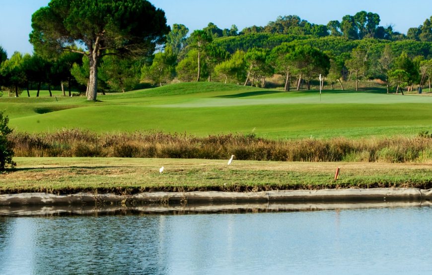 Hipotels Andalucia 4 ****   Barrosa Park/ Playa La Barrosa (Solo adultos) / Gran Conil &Spa +5 GF La Estancia-Sancti Petri Hills-Costa Ballena- Montenmedio-Sherry Golf+Visita Guiada Cádiz