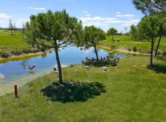 Si estas pensando en hacer una escapadas, unas vacaciones o viaje para jugar al golf, Visita viajealgolf.com ahora