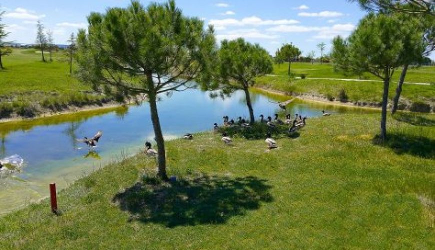 Si estas pensando en hacer una escapadas, unas vacaciones o viaje para jugar al golf, Visita viajealgolf.com ahora