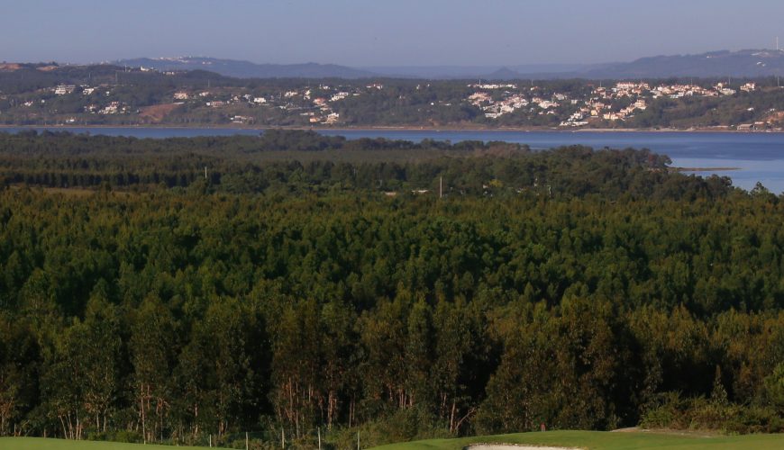 Si estas pensando en hacer una escapadas, unas vacaciones o viaje para jugar al golf, Visita viajealgolf.com ahora
