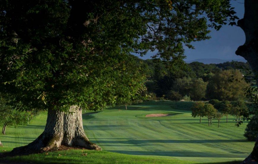Roe Park 4****+Golf Ilimitado Roe Park Golf Club+Visita a Belfast