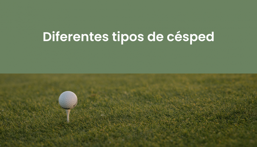 Si estas pensando en hacer una escapadas, unas vacaciones o viaje para jugar al golf, Visita viajealgolf.com ahora